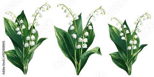 Watercolor painting of three stems of delicate lily of the valley flowers