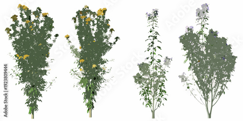 Four arrangements of wildflowers and foliage on a white background