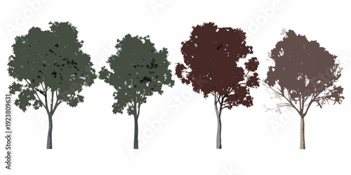 Four trees in varying autumnal shades against a white background