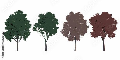 Four stylized trees in varying autumnal shades against a white background