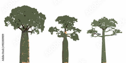 Three stylized trees with varying heights and rounded canopies