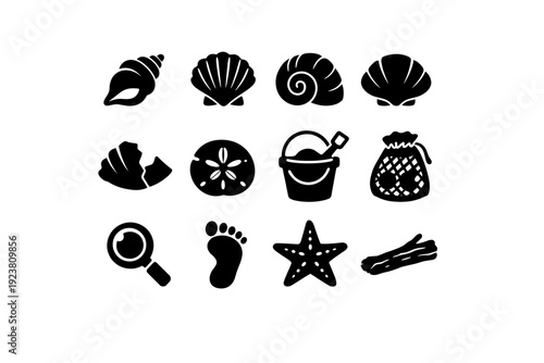 Beachcombing for seashells. Solid icon set of Beachcombing for seashells: conch shell, scallop shell, spiral shell, clam shell, broken shell, sand dollar,