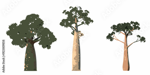Illustration of three stylized trees with varying heights and foliage