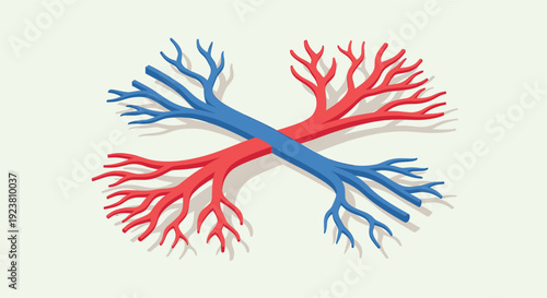 Two stylized vessels, colored in blue and red, intertwine on a soft white background, suitable for medical illustrations or abstract designs.