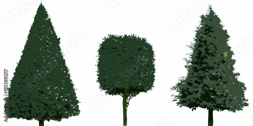 Three stylized evergreen trees with distinct shapes and lush foliage