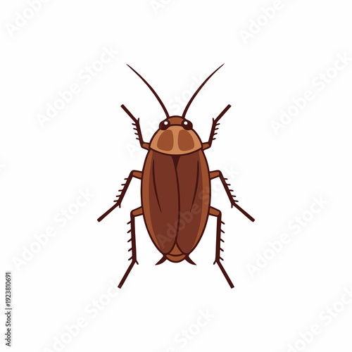 Cockroach Insect Vector Illustration Isolated on White Background