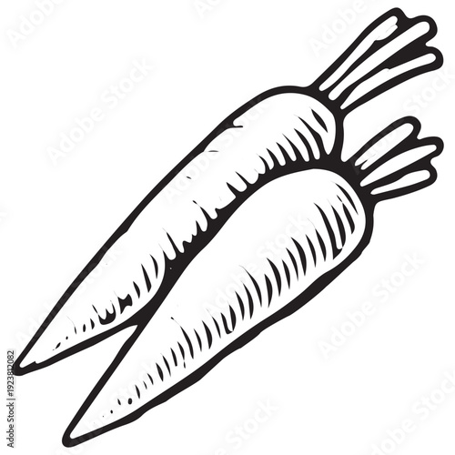 Hand Drawn Carrots Farm Produce Sketch Vector