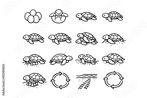 Turtle Life Cycle. Line icon set of Turtle Life Cycle: turtle egg, hatching turtle, crawling hatchling, juvenile turtle, growing turtle,