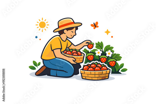 Strawberry field harvest moment showing simple joy person collecting berries with relaxed posture and soft decorative elements, creating a