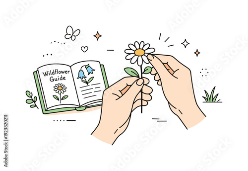 Hands holding a daisy next to a wildflower guide book with illustrations