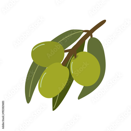 Olive branch with green fruits and leaves