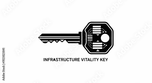 Abstract digital key symbolizing technological infrastructure and access