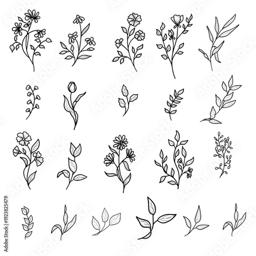 Spring flowers with petals and leaves, hand-drawn. Vector illustration. Collection of summer plants and wildflowers, isolated on a white background. Summer, meadow, garden, and Easter themes.