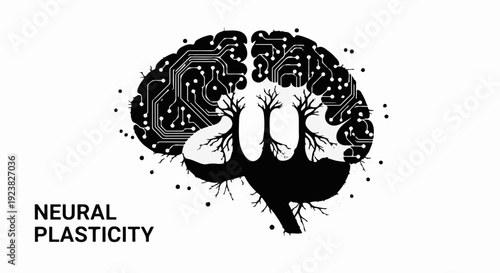 Abstract representation of neural plasticity and brain function with circuit board elements.