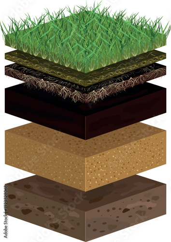 Lawn soil profile. Scheme of a lawn installation, revealing layers soil