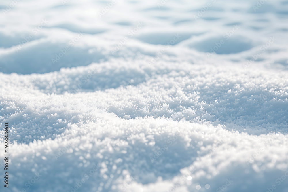 Fototapeta premium 微細な結晶が美しいクールなトーンの雪の質感