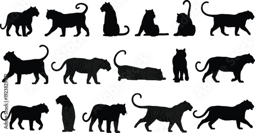 Big cat silhouettes collection featuring panther and tiger poses isolated on white background wildlife illustration set