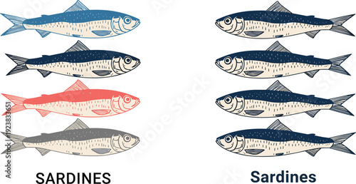 Sardines fish illustration set. Vintage style canned seafood design with different color variations. Marine food collection isolated on transparent background.