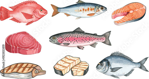 Tuna, trout, cod and sea bream illustration set. Fresh fish and grilled steak collection. Detailed seafood elements isolated on transparent background.