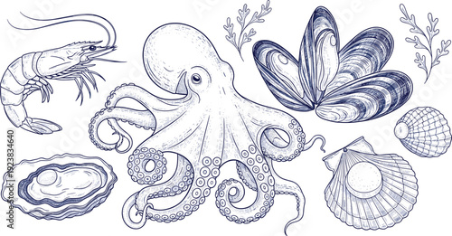 Seafood engraving illustration set. Octopus, shrimp, mussel and oyster in vintage blue line art. Detailed marine collection isolated on transparent background.