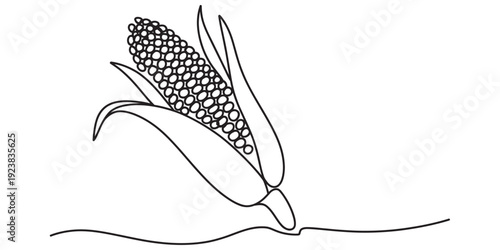 Single line drawing of an ear of corn with husks, isolated on a white background. Vector, illustration