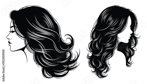 Elegant woman silhouette with flowing hair vector