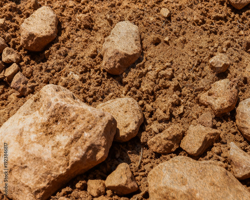 Dry Earth and Stone Ground Texture Background With Natural Sunlight

