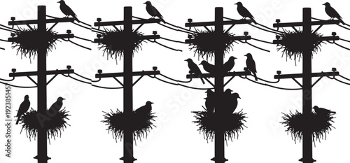 Silhouette birds nesting on utility poles with power lines, black vector illustration isolated on white background