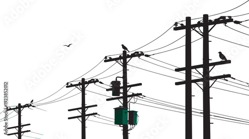 Silhouette utility poles with power lines and birds, electrical infrastructure against minimal sky background