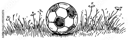 Hand drawn soccer ball resting in tall grass with small wild flowers