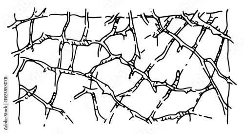 Abstract hand drawn doodle of tangled thorny branches or a cracked network pattern