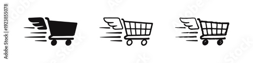 Express Shopping Cart Icons Set - Fast Delivery and E-commerce Symbols in Various Styles