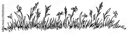 Hand drawn doodle illustration of wild grass and flowers growing in a meadow