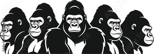 Silhouette gorillas standing strong in group, wildlife animal illustration artwork muscular dominance social structure - flavector