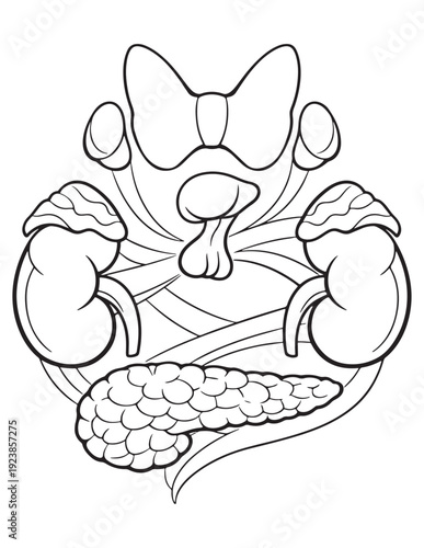 Detailed black and white line art drawing of human endocrine glands: thyroid, adrenal, pancreas, pituitary, and kidneys