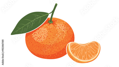Fresh organic whole orange fruit with a green leaf and a single juicy segment isolated on a clean white background.