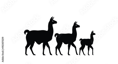 Llama Family Silhouette Farm Animal Illustration