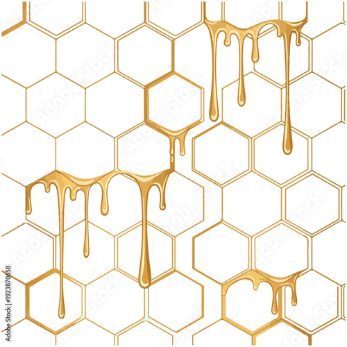 Honeycomb Honey Drips Vector Illustration Background