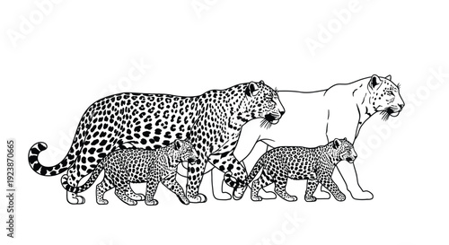 Leopard Family Silhouette Big Cat Illustration