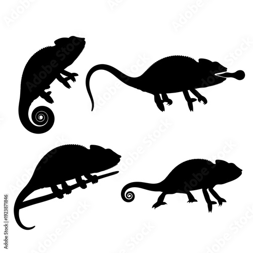 Chameleon Silhouettes: Four Poses of Reptilian Camouflage and Adaptation