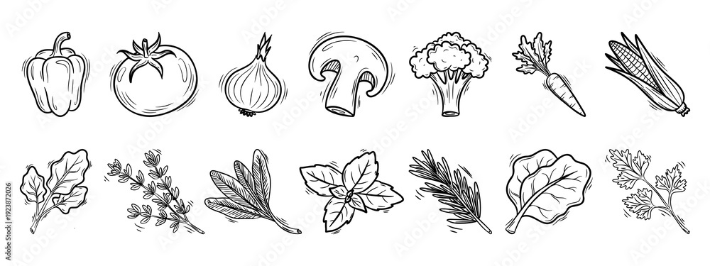 Fototapeta premium Hand Drawn Vegetable and Herb Set. Organic Food Line Art Vector Collection