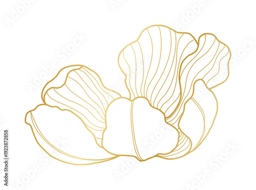Poppy flower gold line art vector.