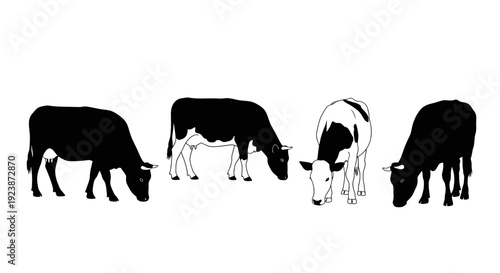 Four Black and White Cow Silhouettes Grazing on White Background