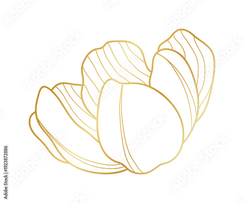Tulip bud gold line art vector.