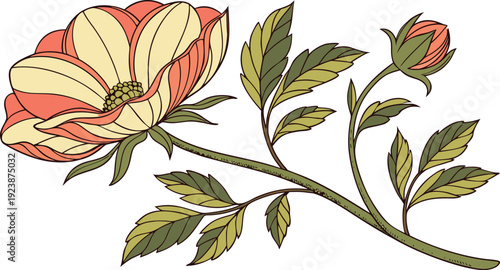 Stylized Botanical Illustration of Flowering Plant