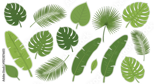 Tropical Leaves Collection Vector Illustration Set