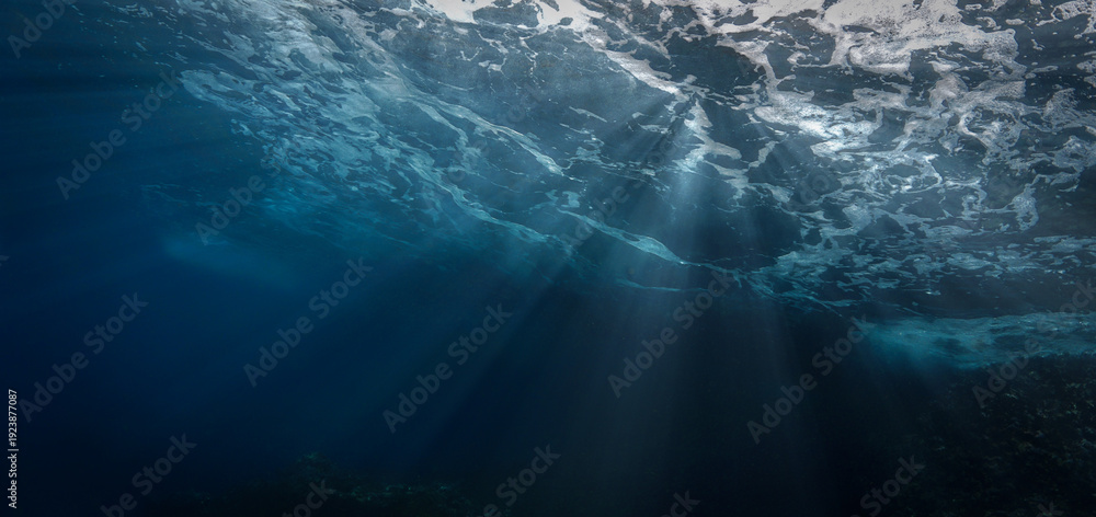 Fototapeta premium Underwater photograhy of rays of sunlight coming through the wild ocean surface.