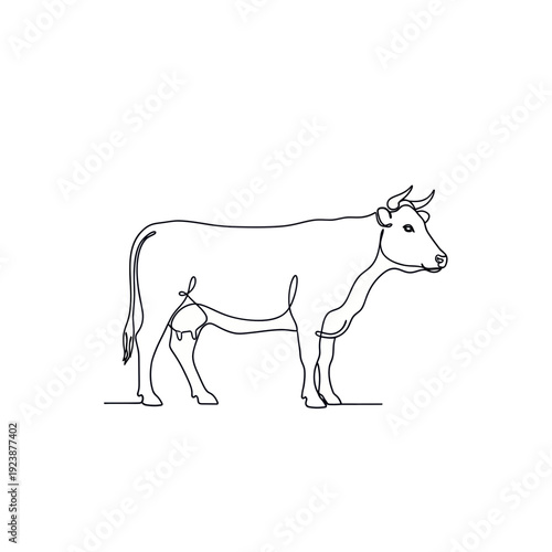 Continuous Line Drawing of a Dairy Cow, Simple and Elegant Farm Animal Illustration