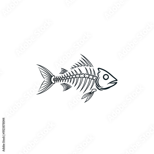 Fish Skeleton Isolated on White Background
