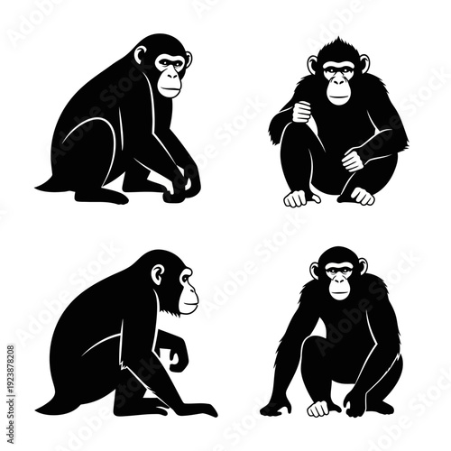 Four Chimpanzees Sitting in Different Poses, Black and White Illustration